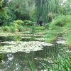 Resized DSC06016.jpg