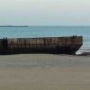 Resized DSC06264.jpg