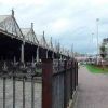 Resized DSC05650.jpg