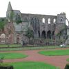 Resized DSC05888.jpg