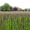 Resized DSC05891.jpg