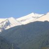 DSC01296.jpg