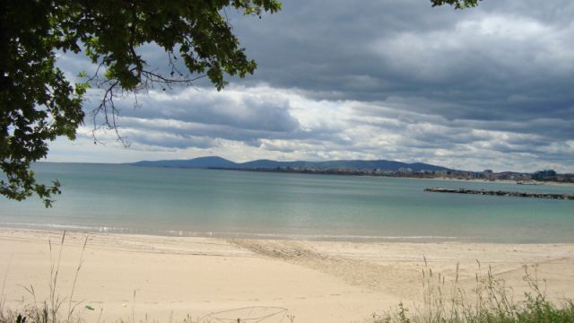 DSC01553.jpg