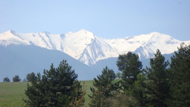 DSC01366.jpg