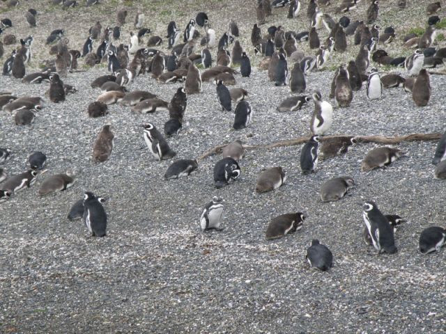 P2091826.jpg