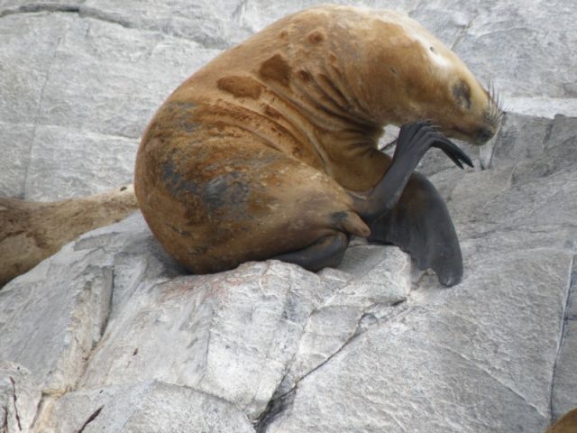 P2091764.jpg