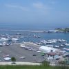 DSC01501.jpg