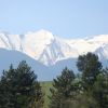 DSC01366.jpg
