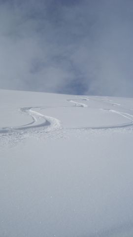 DSC01169.jpg