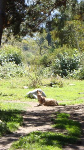 DSC01592.jpg