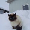 DSC01210.jpg