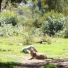 DSC01592.jpg