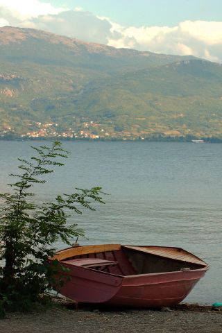 DSC_0303.JPG