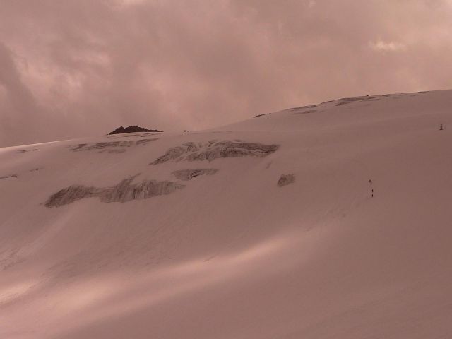 P1050364c.JPG
