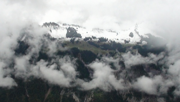 Resized DSC06324.jpg