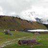 Resized DSC06594.jpg