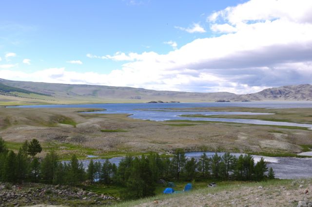 DSC_0233.jpg