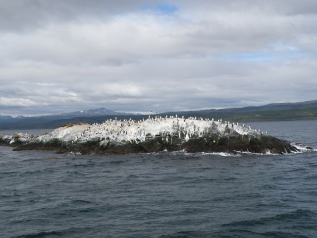 P2091725.jpg