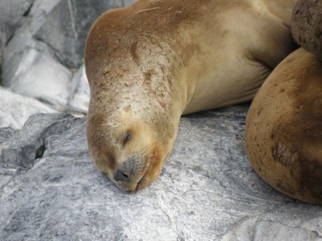 P2091763.jpg