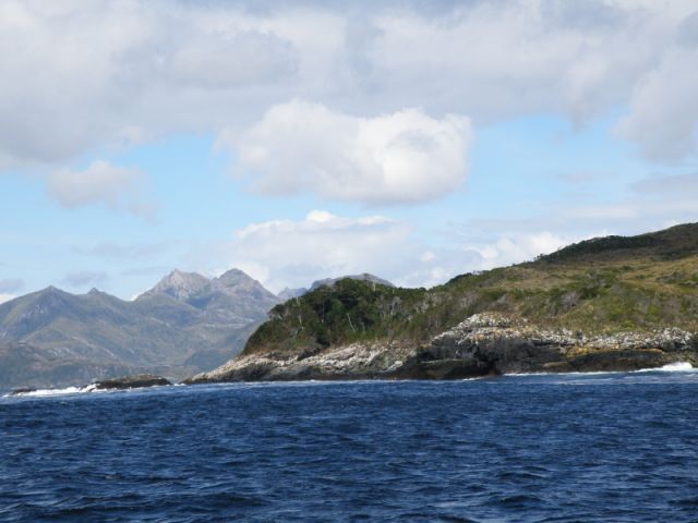 P2051482.jpg