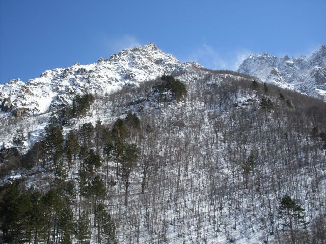 SDC10193.JPG