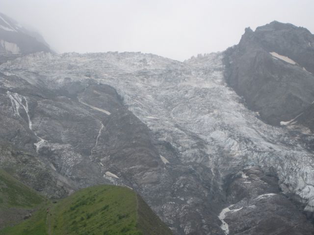 IMG_1379.jpg