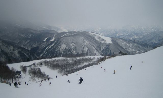 IMG_93861_новый размер.jpg
