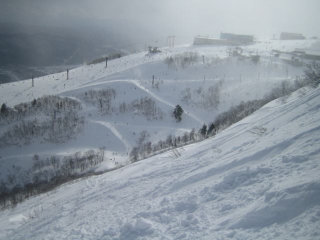 IMG_9435_новый размер.JPG