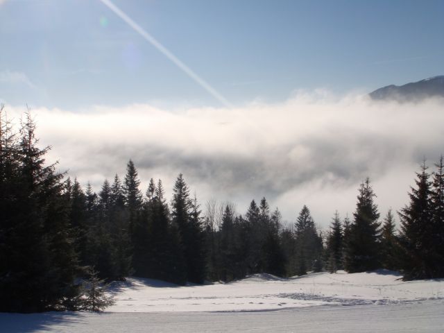 259.JPG