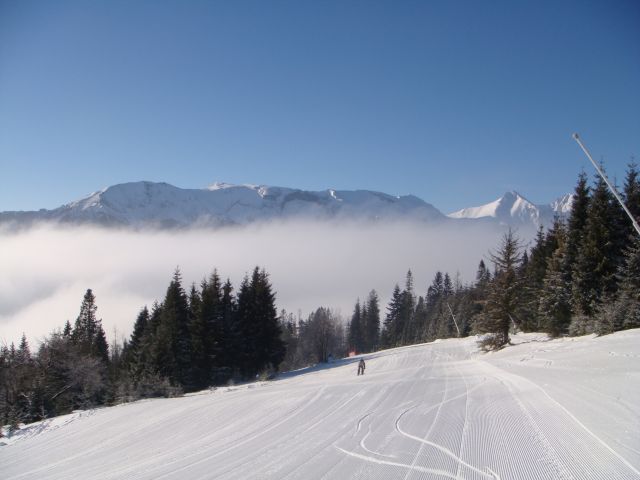 257.JPG