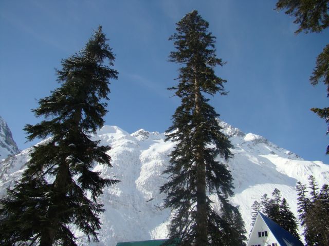 DSC03623.JPG