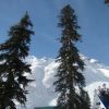 DSC03623.JPG
