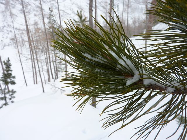P1020834.JPG