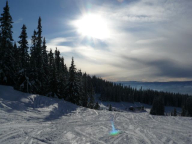 P1070758.JPG