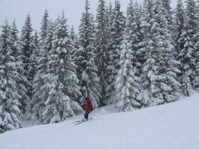 P1070730.JPG