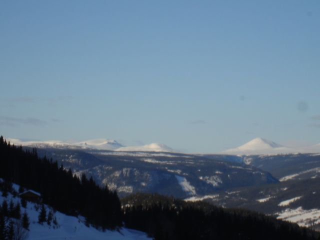 DSC02684.JPG