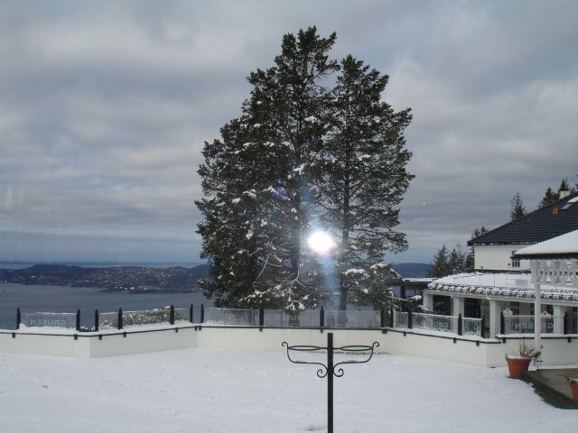 DSC02724.JPG