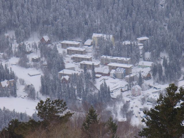 P1010142-0.jpg
