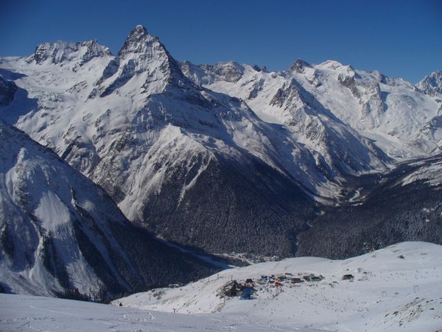 P1010184-0.jpg