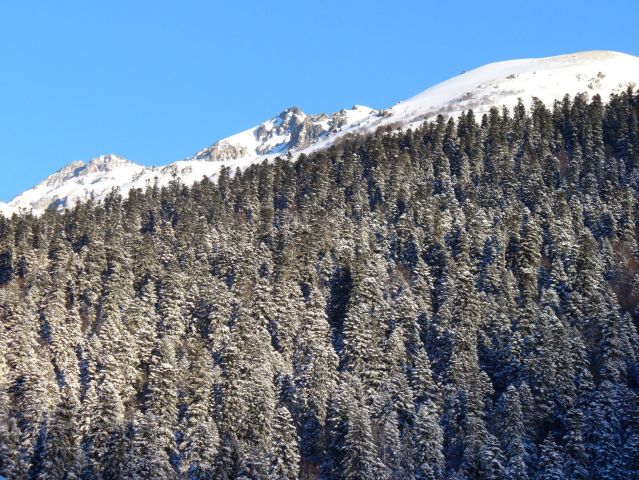 P1010160-0.jpg