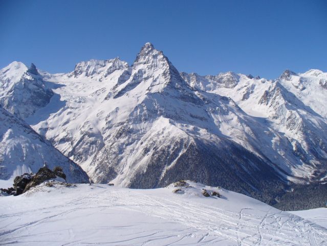 P1010171-0.jpg
