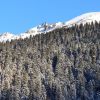 P1010160-0.jpg