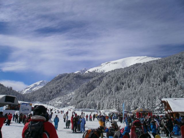 P1260031.JPG