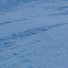 Resized DSC07627.jpg