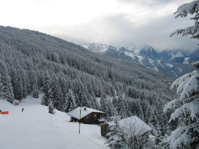 IMG_4952.JPG