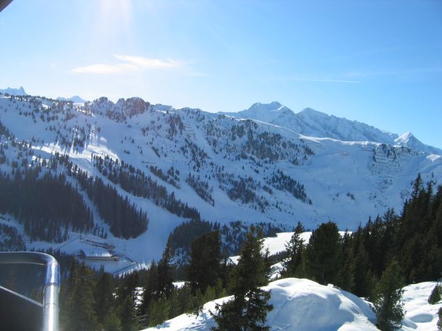 IMG_4901.JPG