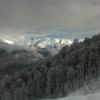 08012009027.jpg