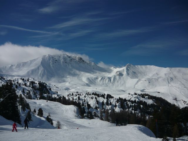 Парадиски
