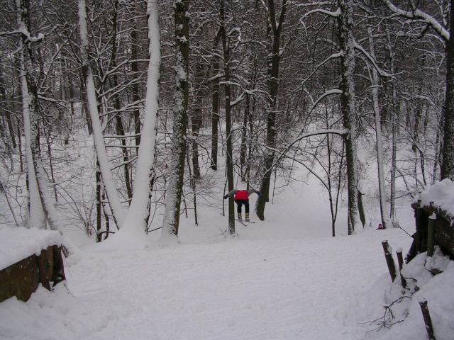 DSCN2080.JPG