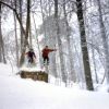 img008.jpg